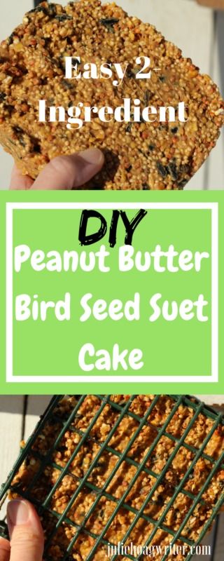 How To Make Birdseed Cakes, How To Make Bird Seed Cakes, No Melt Suet Cakes For Birds, Peanut Butter Bird Feeder Diy, Diy Bird Food Recipes, Bird Suet Recipes Homemade, Peanut Butter Bird Feeder, Bird Seed Cakes, Diy Peanut Butter