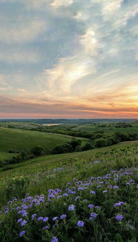 Farm Wallpaper Iphone, Spring Lockscreen Aesthetic, Nature Aesthetic Photos, Spring Screensavers, Spring Season Aesthetic, Wallpaper Spring Aesthetic, Vibes Wallpaper Iphone, Nature Screensavers, Flower Field Wallpaper