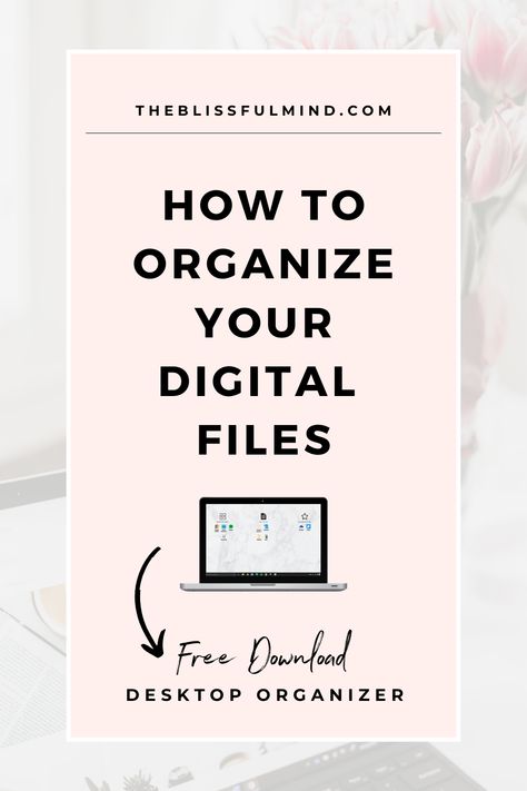 How To Organize Computer Files, How To Organize Digital Files, Organizing Computer Files, Organizing Digital Files, Organize Files Computer, Organize Digital Files, Computer Organization Desktop, Files Organization, Organize Computer Desktop