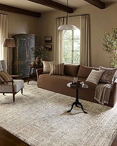 Mahogany Room Interiors, Dark Brown Wood Living Room, Masculine Traditional Living Room, Living Room Modern Cottage, Amber Interiors Living Room, Loloi Amber Lewis, Classic Family Room, Sala Vintage, Amber Lewis X Loloi