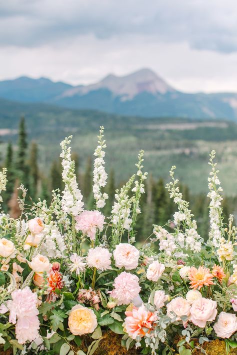 An image of wedding wildflowers with a gorgeous moutain backdrop. Mountain Wedding Summer, May Mountain Wedding Colors, Mountain Spring Wedding, Winter Wildflower Wedding, Mountain Backyard Wedding, Mountain Garden Wedding, Mountain Wedding Mood Board, Colorful Mountain Wedding, Spring Mountain Wedding Colors