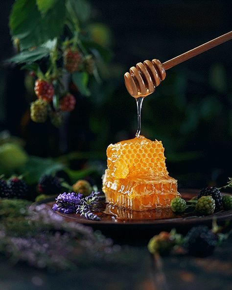 Honey Art, Honey Photography, Dark Food Photography, Honey Packaging, Food Art Photography, Instagram Kitchen, Forest Witch, Fruit Photography, Bee Honey