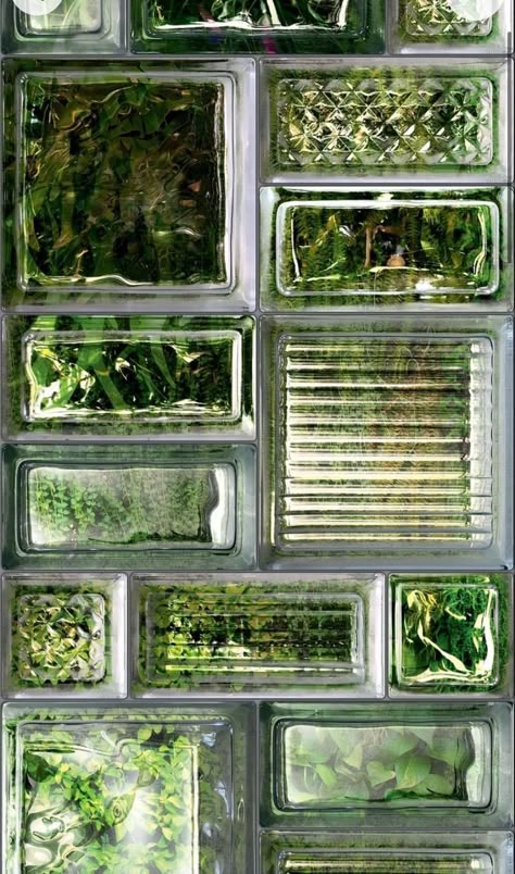 Glass Blocks, Green Aesthetic, Green Plants, Future House, The Glass, Future Home, Mood Board, Home Design, Tile