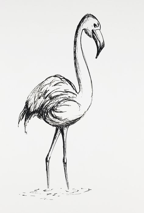 Art drawing bird animal nature beakink sketch Exotic Ink Drawing, Exotic Bedrooms, Drawing Bird, Christmas Drawings, Exotic Bird, Animal Nature, Ink Drawings, Ink Sketch, Christmas Drawing