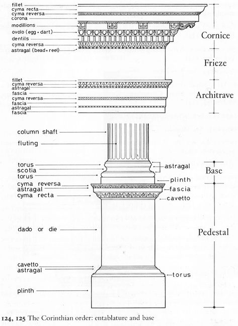 Galleries Architecture, Counties Of England, Architectural Orders, Neoclassical Architecture, Ancient Greek Architecture, Roman Architecture, Stone Masonry, Architecture History, Architectural Drawing