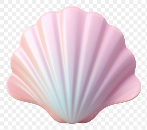 Seashell Png, Shell Png, Shell Illustration, Sketching Inspiration, Shell Crowns, Pink Seashell, Crown Png, Shapes Images, Mermaid Shell