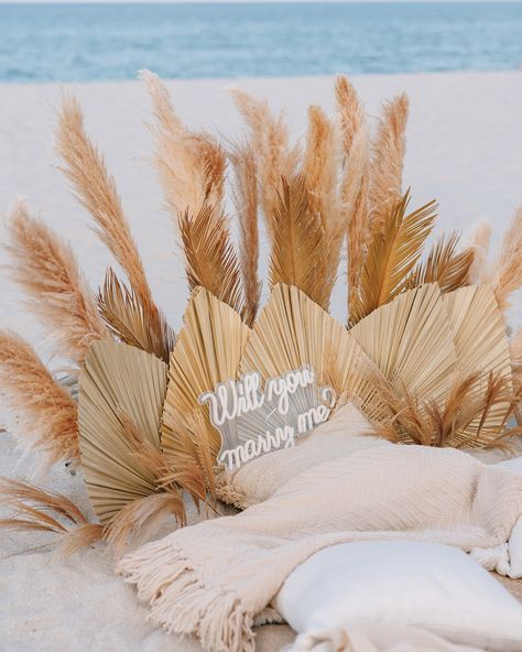 We are excited to share our beautiful Boho-style marriage proposal setup with you. To place an order, simply DM us or call +17867410112. Photo by @john_simon_photographer Location Miami Beach 🏝️ #miamiproposal #proposal #proposalideas #proposalsetup Crete Fashion, Beach Proposal Setup, Proposal Setup, I Love The Beach, Marriage Proposal, Place An Order, Marriage Proposals, Beach Lovers, Fashion Photoshoot