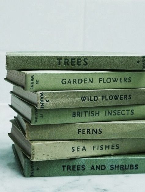 Green Inspo, Mint Aesthetic, Mint Green Aesthetic, Sage Green Wallpaper, Green Pictures, Dark Green Aesthetic, Slytherin Aesthetic, 카드 디자인, Green Photo