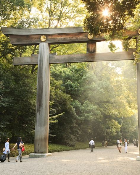 Yoyogi Park, Tokyo Things To Do In Tokyo, Yoyogi Park, Tokyo Shopping, Japan Itinerary, Tokyo Skytree, Tokyo Travel, Aesthetic Japan, Unusual Things, Conde Nast Traveler