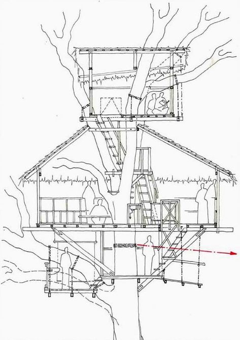 Treetop Architecture - Gibbon Experience Woods Hangout Spot, Treehouse Design Architecture, Treehouse Construction, Building A Small House, Tree House Plans, Tree House Diy, Interior Architecture Drawing, Tree House Designs, Architecture Design Sketch