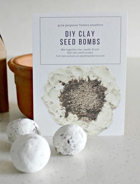 Have you ever wondered how to use seed balls? I've seen seed ball recipes on Pinterest before but I have never been quite sure how to use them. Seed Paper Diy, 20 Christmas Gift Ideas, Swamp Rabbit, Seed Balls, Rock Plants, Ball Recipes, Split Rock, Grow Gorgeous, Diy Teacher Gifts