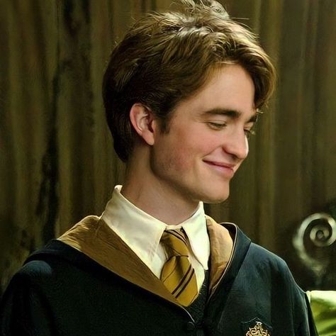 Cedric Diggory, Harry Potter