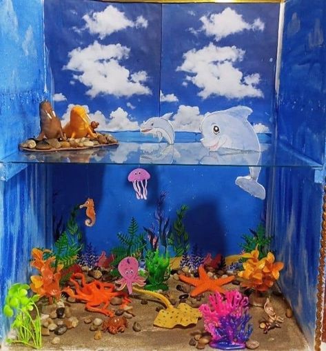 Facebook 3d Sea Animals, 3d Ecosystem Project, Ocean Habitat Diorama, Ocean Diorama, Biomes Project, Rainforest Project, Diorama Kids, Ecosystems Projects, Ocean Theme Decorations