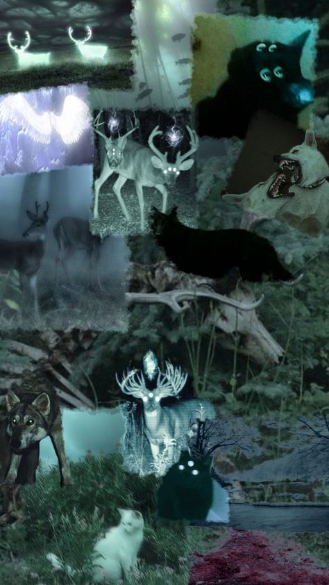 Starflesh Core Animals, Starfleshcore Wallpapers, Starflesh Moodboard, Starflesh Core Wallpaper, Starflesh Wallpaper, Deer Cryptid, Starflesh Aesthetic, Scary Core, Starflesh Core Aesthetic