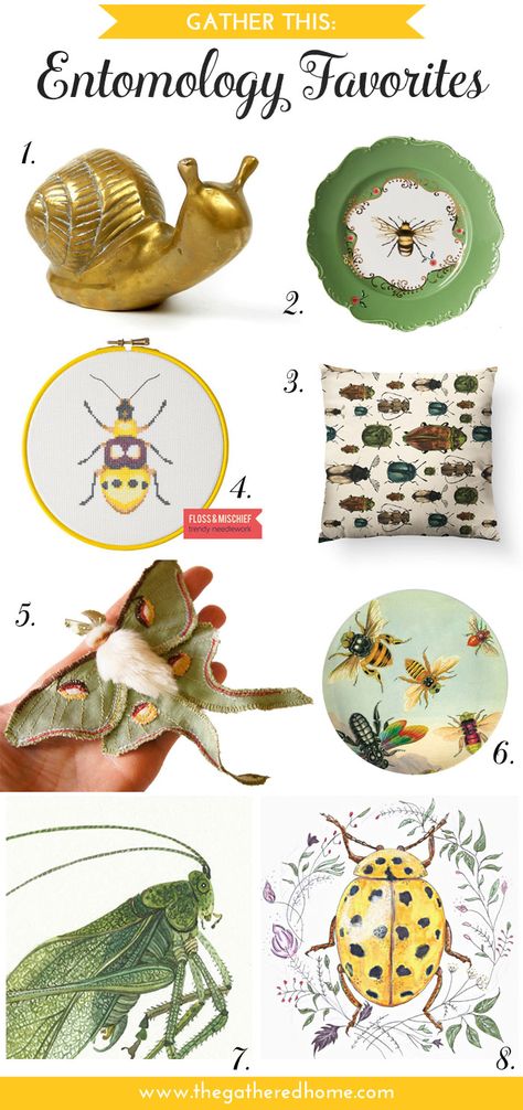 The use of insect motifs in decor has a long and fascinating history. Channel some of that vintage wonder with these entomology home decor favorites from The Gathered Home! Natural History Decor Home, Insect Gallery Wall, Insect Home Decor, Insect Room Decor, Bug Home Decor, Bug Room Decor, Bug Themed Nursery, Rv Kids Room, Eclectic Boys Room