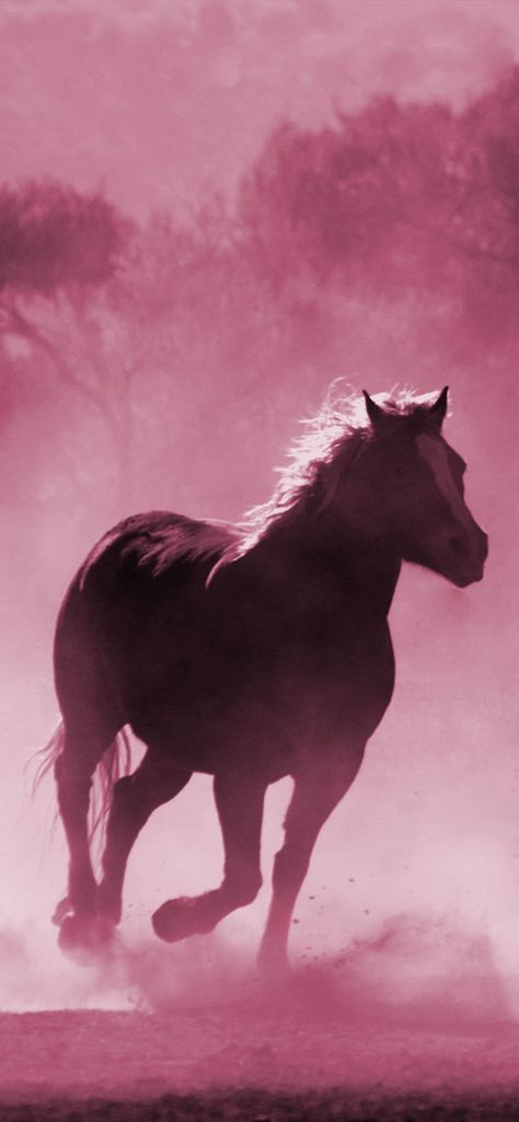 #wallpaperonline #wallpaperworld #wallpaperart #wallpaper_3d #wallpaperstumblr #photoshop #cutewallpaper #wallpaperstiker #newwallpaper #wallpapers #wallpapertumblr Horse Running, Pink Horse, Wallpaper Tumblr, Everything Pink, Pink Background, Phone Wallpaper, Photoshop, Horses, Wallpapers