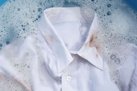 Say Goodbye To Stains: The Ultimate Guide To Making White Clothes White Again Breakfast Party Foods, Easy Dinner Casseroles, Culture Quotes, Etiquette And Manners, Plant Problems, White Clothes, Paint Color Palettes, Wedding Pets, Household Cleaning Tips