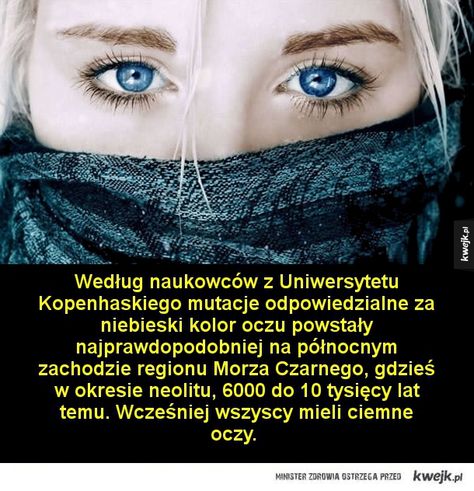 Blue Eye Facts, People With Blue Eyes, Window To The Soul, Eye Facts, Facts About Humans, Facts About People, Opening Your Third Eye, Fun Facts About Yourself, Genetic Mutation