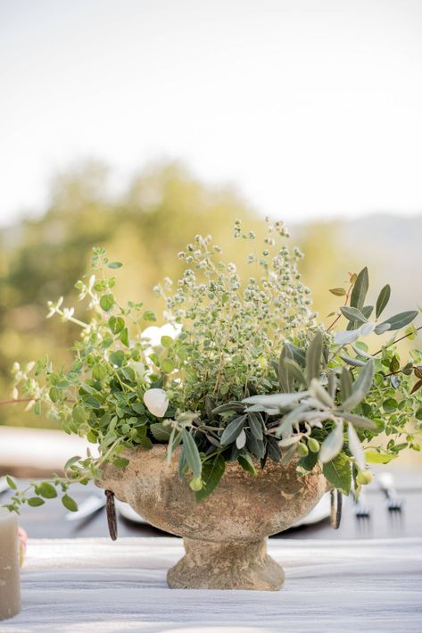 Rustic Italian Centerpieces, Tuscan Wedding Ceremony Decor, Tuscan Wedding Decor Rustic Italian, Wedding Flowers Tuscany, Olive Centerpiece Wedding, Olive Branch Wedding Florals, Tuscan Wedding Centerpieces, Tuscan Countryside Wedding, Olive Branch Flower Arrangement