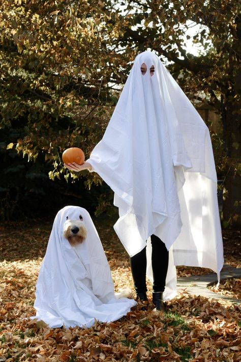 White Ghost Costume, Dog Ghost Costume, Cute Dog Halloween Costumes, Ghost Cosplay, Best Dog Halloween Costumes, Costume For Dogs, Halloween Puppy, Cosplay Clothes, Ghost Halloween Costume