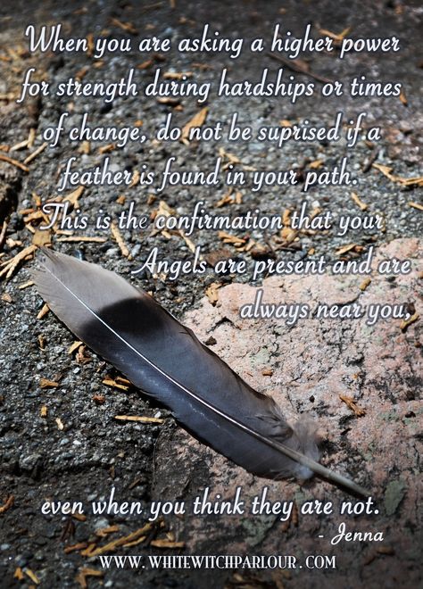 find a feather and know that your angel is nearby ready to push you along and give you the strength you need. :) #angel #feather #god #spiritual #strength #help #symbolic #meaning #omen #witch #bos Feather Magic, Feather Signs, Feather Meaning, American Quotes, Native American Wisdom, Angel Signs, Native American Quotes, Archangel Gabriel, Archangel Michael