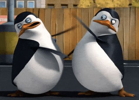 Penguins Pingki Penguin GIF – Penguins Penguin Pingki penguin – discover and share GIFs Madagascar Penguins Funny, Penguin Gif, Funny Face Gif, Gif Sticker, Animiertes Gif, Funny Short Video Clips, Dancing Animals, Penguins Funny