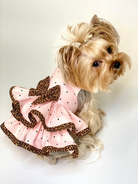 Dogs Dress, Dog Clothes Patterns Sewing, Dog Dress Pattern, Small Dog Dresses, Crochet Dog Clothes, Dog Print Tattoo, Dog Outfits, Puppy Costume, Puppy Dress