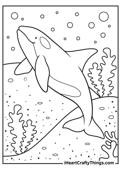 Unicorn Pokemon, Whale Coloring, Mandala Animals, Animals Disney, Easter Animals, Whale Coloring Pages, Ocean Coloring Pages, Whale Drawing, Shark Coloring Pages