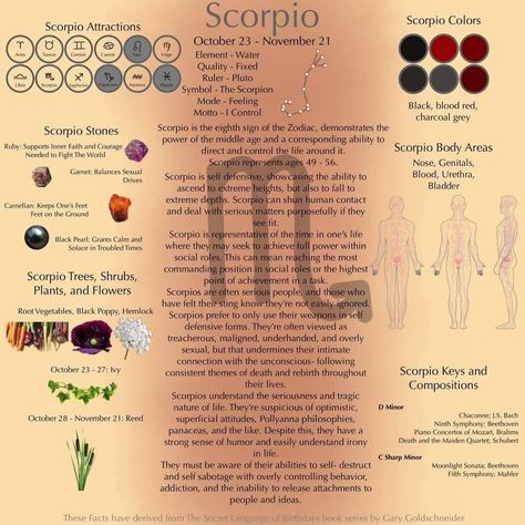 Scorpio Witch, Scorpio Status, Rooted Garden, Witchy Astrology, Scorpio Color, Scorpio Planet, Scorpio Sun Sign, Sun In Scorpio, Scorpio Symbol