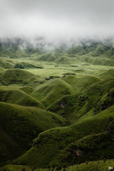 https://flic.kr/p/LJFPHJ | Dzukou Valley Dzukou Valley, India Travel Places, Northeast India, Destination Photography, Tourist Places, Travel And Tourism, India Travel, Dream Destinations, Travel And Leisure