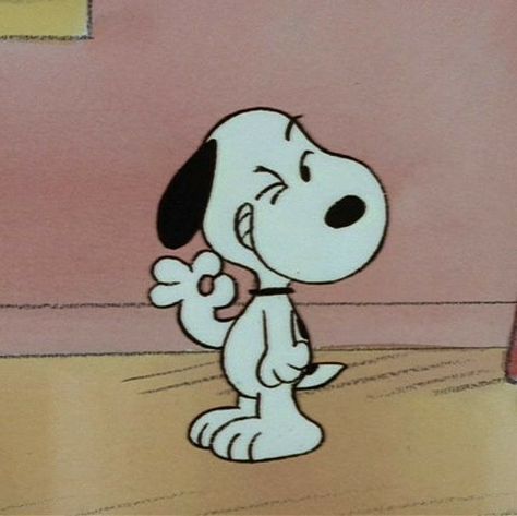 Snoopy, Wall, On Instagram, Instagram