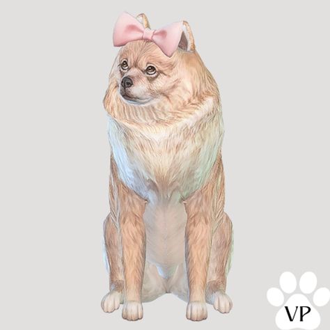 Sims 4 Dog Accessories, Sims 4 Cc Patreon Pets, Sims 4 Dog Collar Cc, Sims 4 Pet Download, Sims 4 Dog Cc Clothes, Pet Mods Sims 4, Sims 4 Dog Collar, Sims 4 Pet Cc Patreon, Sims 4 Dogs Cc