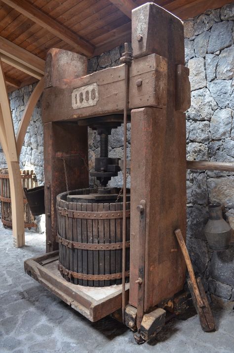 Apple Cider Press, Wine Gift Ideas, Wine Basics, Cider Press, Wine Making Process, Wine Press, Cider Making, Italy Wine, Wine House