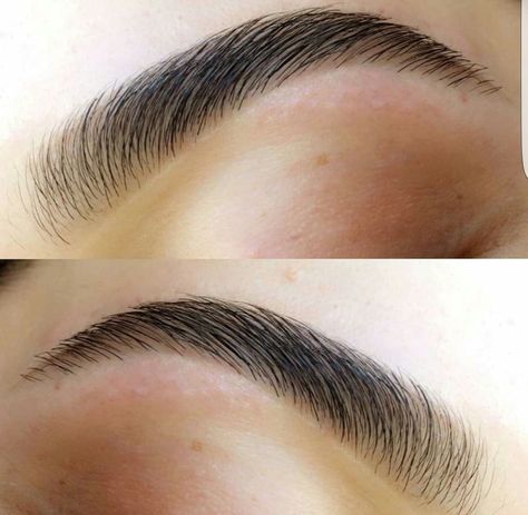 Lashes And Eyebrows, Eyebrows Goals, Sparse Eyebrows, Eyebrow Hacks, Arched Eyebrows, Low Estrogen, Beautiful Eyebrows, How To Draw Eyebrows, Brow Kit