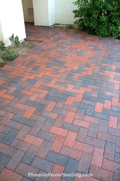 Red & gray brick pavers after being cleaned and sealed. http://www.phoenixpaversealing.com Red Floors, Red Brick Pavers, College Garden, Grey Pavers, Gray Brick, Paving Block, Brick Paving, Red Floor, Driveway Design