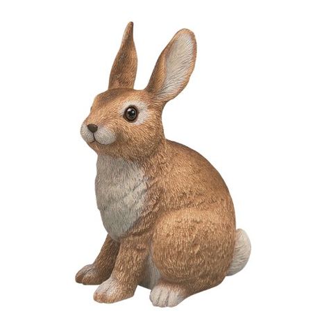 Artline Sculptural Gardens Rabbit Garden Statuary Artline https://www.amazon.ca/dp/B000BWY3BY/ref=cm_sw_r_pi_dp_x_3YZlzbBM2V5ZD Garden Statuary, Bunny Statue, Garden Figures, Rabbit Garden, Wildlife Garden, Rabbit Sculpture, Grass Decor, Statues For Sale, Ceramic Bunny