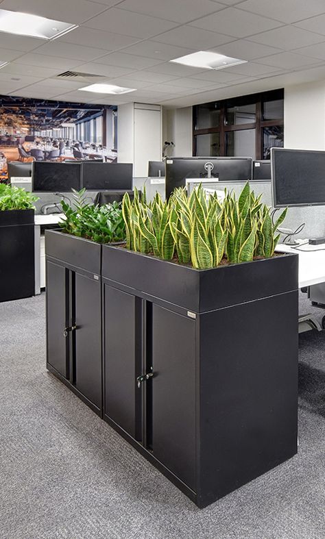 Office Design With Plants, Planter With Storage, Hall Console Table Ideas, Plants Office Decor, Office Planters, Biofilic Design, Eco Office, Plant Office Design, Corporate Office Furniture