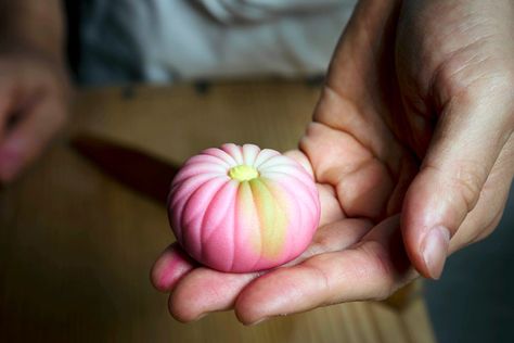 From autumn colors to cherry blossoms in spring, wagashi are styled to reflect both taste and aesthetics. Confectionery Shop, Japan Sweets, Making Sweets, Types Of Desserts, Japanese Sweet, Japanese Sweets, Moon Cake, Japanese Food, Fine Dining