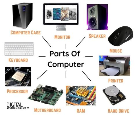 The computer is one of the most versatile and beneficial inventions for mankind. Its enormous capacity to process data makes it a fundamental part of the development of the world. There are some basic parts of computer that make possible to process and complete the task at extraordinary speed. Parts Of Computer, Computer Lab Posters, Computer Lab Classroom, Computer Notes, What Is Computer, Computer Projects, Kindergarten Reading Activities, Learn Computer Coding, Computer Basic