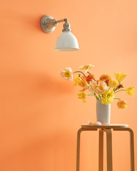 A playful, stylish apricot spiked with an extra dose of orange. Benjamin Moore Orange Paint Colors, Light Orange Paint, Orange Benjamin Moore, Orange Painted Walls, Peach Paint Colors, Peach Bedroom, Paint Color Swatches, Orange Paint Colors, Things Paint