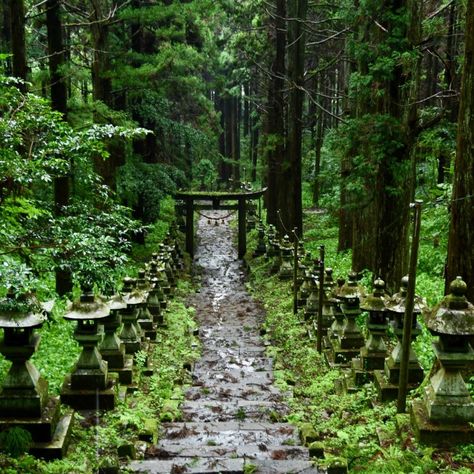 Kumamoto, Japan | Ascending the Stairway to Heaven at the Enigmatic Kamishikimi Kumanoimasu Shrine 上色見熊野座神社 Japanese Countryside, Yakushima, Cedar Forest, Travel Post, Kumamoto, Japan Aesthetic, Kyushu, Go Hiking, Stairway To Heaven