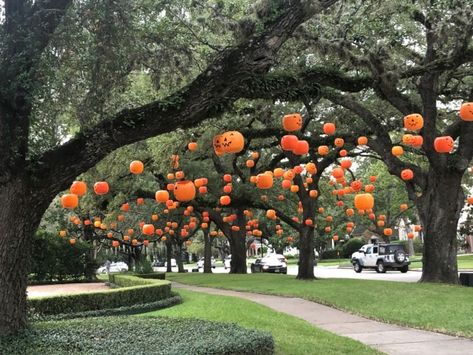 Pumpkin Lawn Decorations, Tree Hanging Halloween Decorations, Halloween Decorating Outside, Diy Hanging Pumpkin Lanterns, Halloween Pumpkin Yard Decorations, Scary Pumpkin Outdoor Decorations, Hanging Jackolantern, Samhain Decorations Outdoor, Jack O Lantern Tree