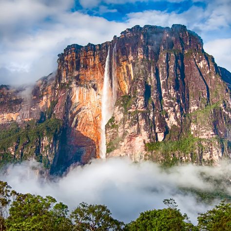 Angel Falls, located within Venezuela's Canaima National Park, is impressive in its own right, but what makes it even more special is that it takes passion and determination to get there. Changsha, Angel Falls Venezuela, Angel Falls, Waterfall Pictures, Matka Natura, Famous Waterfalls, Iguazu Falls, Les Continents, Air Terjun