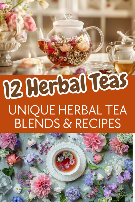 Herbal drinks and tea blends. Text reads: 12 Herbal teas. Unique herbal tea blends and recipes. Medicinal Tea Blends, Herbalism Recipes, Herbal Tea Remedies, Tea Blends Recipes, Herbal Tea Garden, Tea Remedies, Herbal Remedies Recipes, Best Herbal Tea, Medicinal Tea