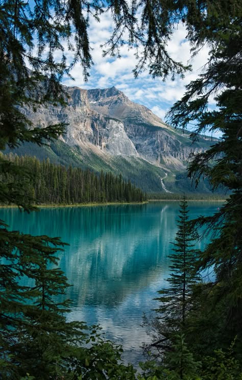 All sizes | A Peek of Emerald Lake | Flickr - Photo Sharing! Yoho National Park Canada, Yoho National Park, Canada National Parks, Emerald Lake, Lake Lodge, Alam Yang Indah, Pretty Places, Belize, Amazing Nature