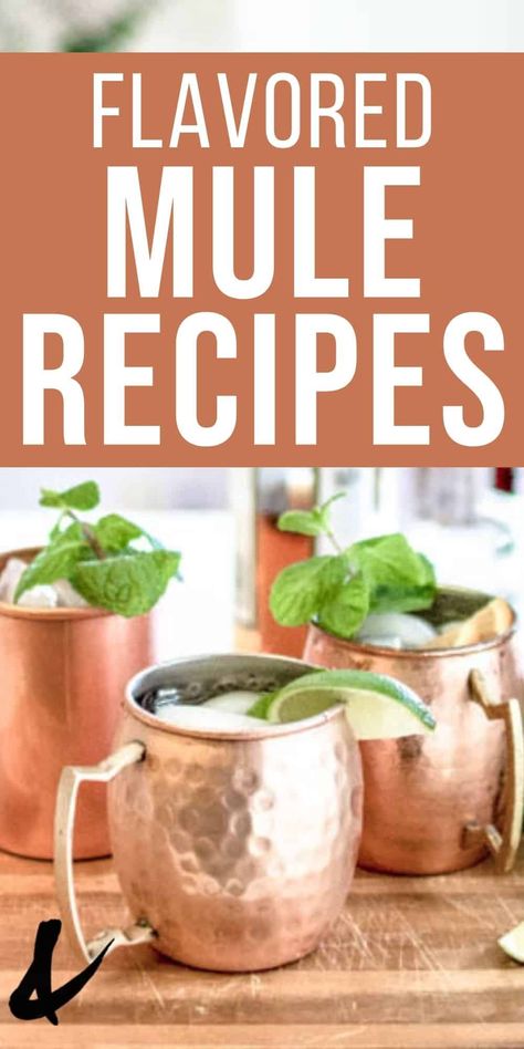 Vodka Mule Recipe, Easy Moscow Mule Recipe, Irish Mule Recipe, Mule Variations, Moscow Mule Variations, Amaretto Drinks Recipes, Moscow Mule Recipes, Moscow Mule Drink Recipes, Best Moscow Mule