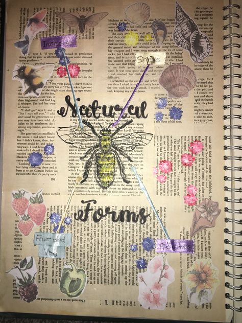 Natural Forms: mind map/mood board | Mind map art, Natural form art, Art  journal inspiration Mind Map Art Igcse, Gcse Art Mind Map Ideas, Brainstorming Board, Natural Form Mood Board, Mind Map Art Ideas, Mind Mapping Ideas Creative Aesthetic, Art Mindmap Ideas, Gcse Art Mind Maps, Mind Map Inspiration