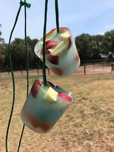 EASY PEASY ICE COLD FRUIT SALAD FOR YOUR HORSE! Help beat the boredom of the HEAT! - Horse and Man Diy Horse Treats, Toys For Horses, Homemade Horse Treats, Horse Farm Ideas, Diy Horse Barn, Horse Barn Ideas Stables, Horse Food, Healthy Horses, Diy Horse