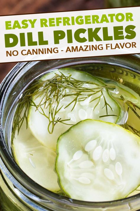 Homemade Refrigerator Pickles, Cheesecake Strawberries, Quick Pickle Recipe, Refrigerator Pickles Dill, Refrigerator Pickle Recipes, Homemade Pickles Dill, Dill Pickle Recipe, Pickled Cucumbers, Baked Cheesecake