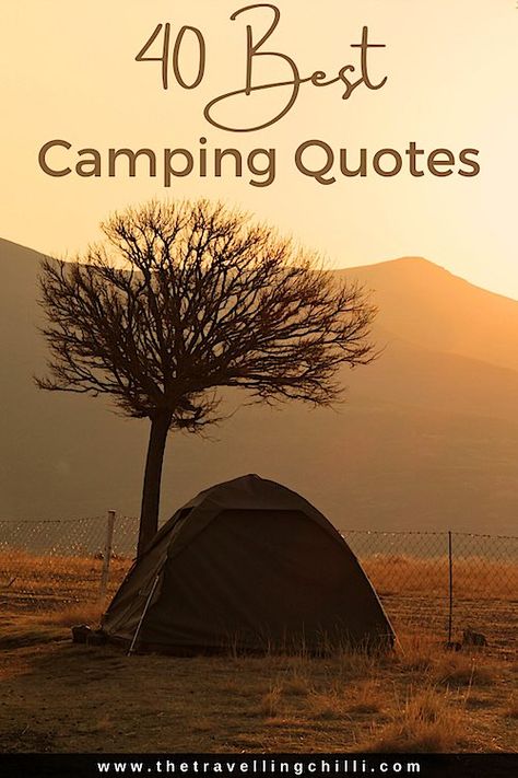 Best camping quotes to inspire you next camp adventure | campfire quotes and quotes for camping | #campingquotes #campfirequotes #quotesforcamping Camping Sayings Signs, Camping Phrases Sayings Quotes, Camping Memories Quotes, Camping Friends Quotes, Camping Season Quotes, Camping With Family Quotes, Camping Letterboard Quotes, Funny Outdoor Quotes, Family Camping Quotes